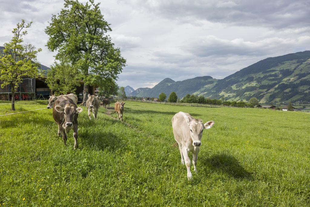 Riemenerhof Βίλα Fügen Εξωτερικό φωτογραφία